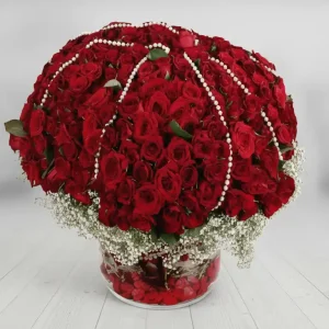 500 KIRMIZI GÜL-CV54