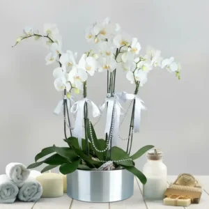 İNCİLERLE 5 DAL BEYAZ ORKİDE-OK04