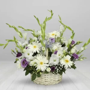 BAHARIN HABERCİSİ MEVSİM ÇİÇEKLERİ-SPA2