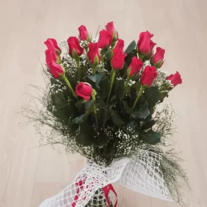 ÖZELSİN 17 KIRMIZI GÜL ÜRÜN KODU-BK04