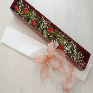 KUTUDA KIRMIZI GÜLLER-BK07