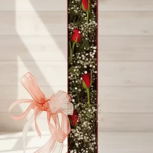 KUTUDA HEDİYE 6 KIRMIZI GÜL-BK09