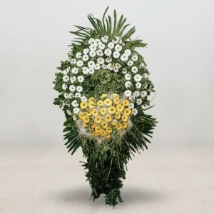 SARI BEYAZ KARANFİL-CNK12