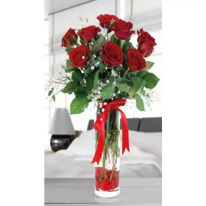 11 KIRMIZI GÜL-CV01