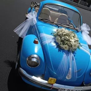 Gelin Arabası Süsleme-Gas12