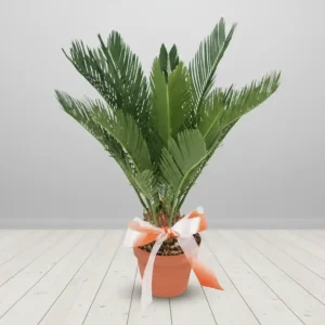 SAKSI ÇİÇEĞİ-SK15