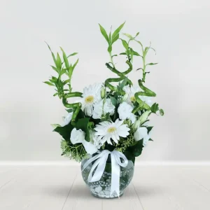 ŞANS GETİREN BAMBU-SC03