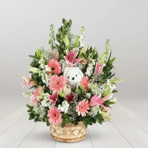 HOŞGELDİN BEBEK ARAJMANI-SPA07