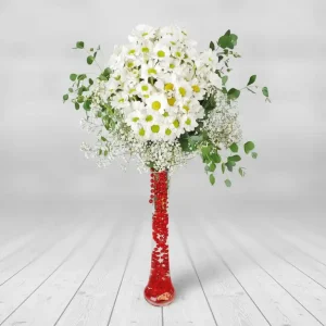 VAZO PAPATYALAR-CV51