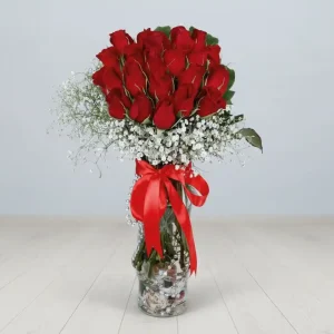 VAZODA 20 KIRMIZI GÜL-CV08