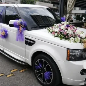 Gelin Arabası Süsleme-Gas29