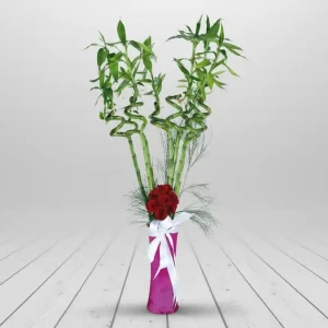 VAZODA KIRMIZI GÜLLER VE ŞANS BAMBULARI - SC05